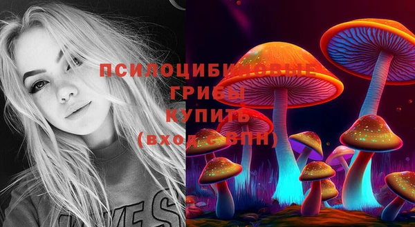 MESCALINE Богородск