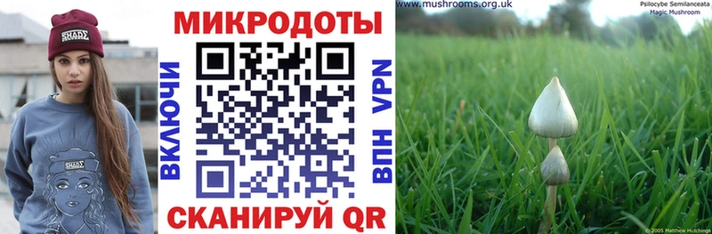 Псилоцибиновые грибы MAGIC MUSHROOMS  Сызрань 